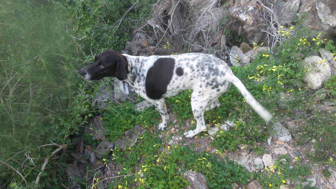 Country house La Fuensanta *